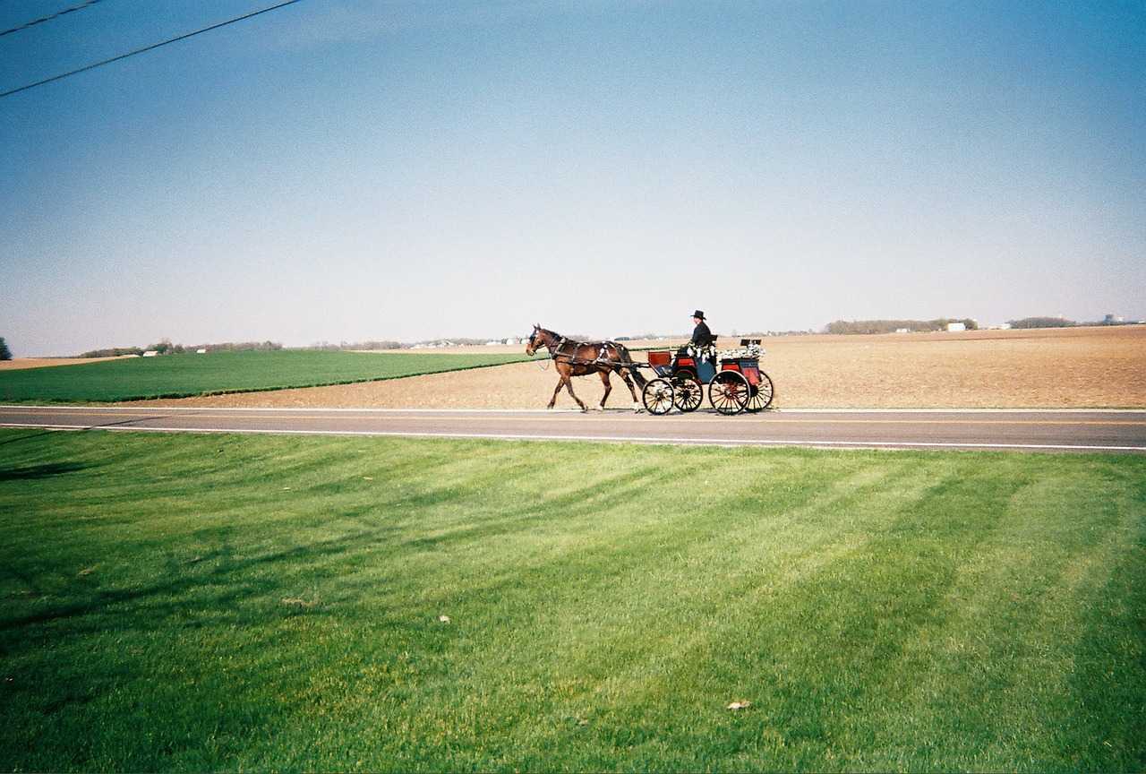 Can I get a DWI while operating … a horse and buggy?