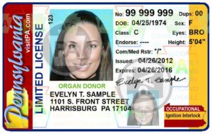 Ignition Interlock Driver's License